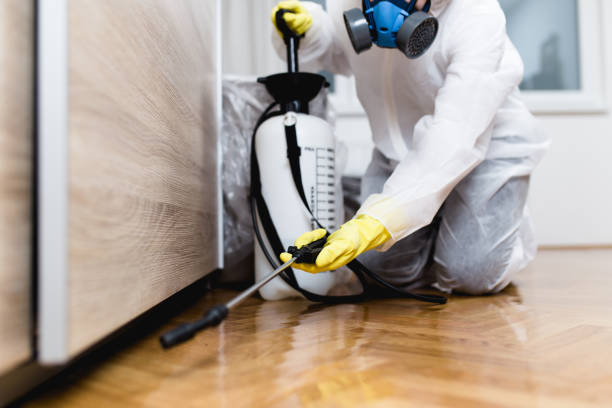 Pest Control Cost in Airport, CA