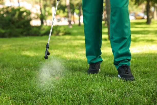 Best Affordable Pest Control Services  in Airport, CA