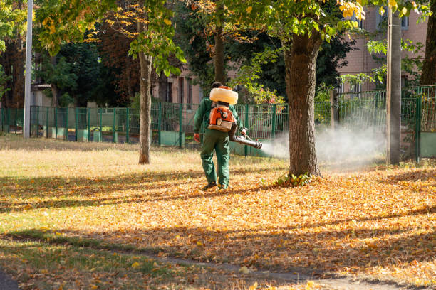  Airport, CA Pest Control Pros