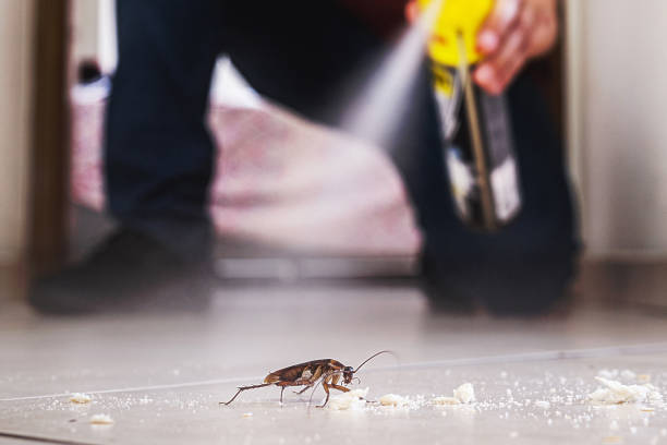 Reliable Airport, CA Pest Control Solutions