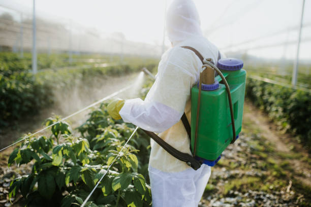 Best Best Pest Control Companies  in Airport, CA